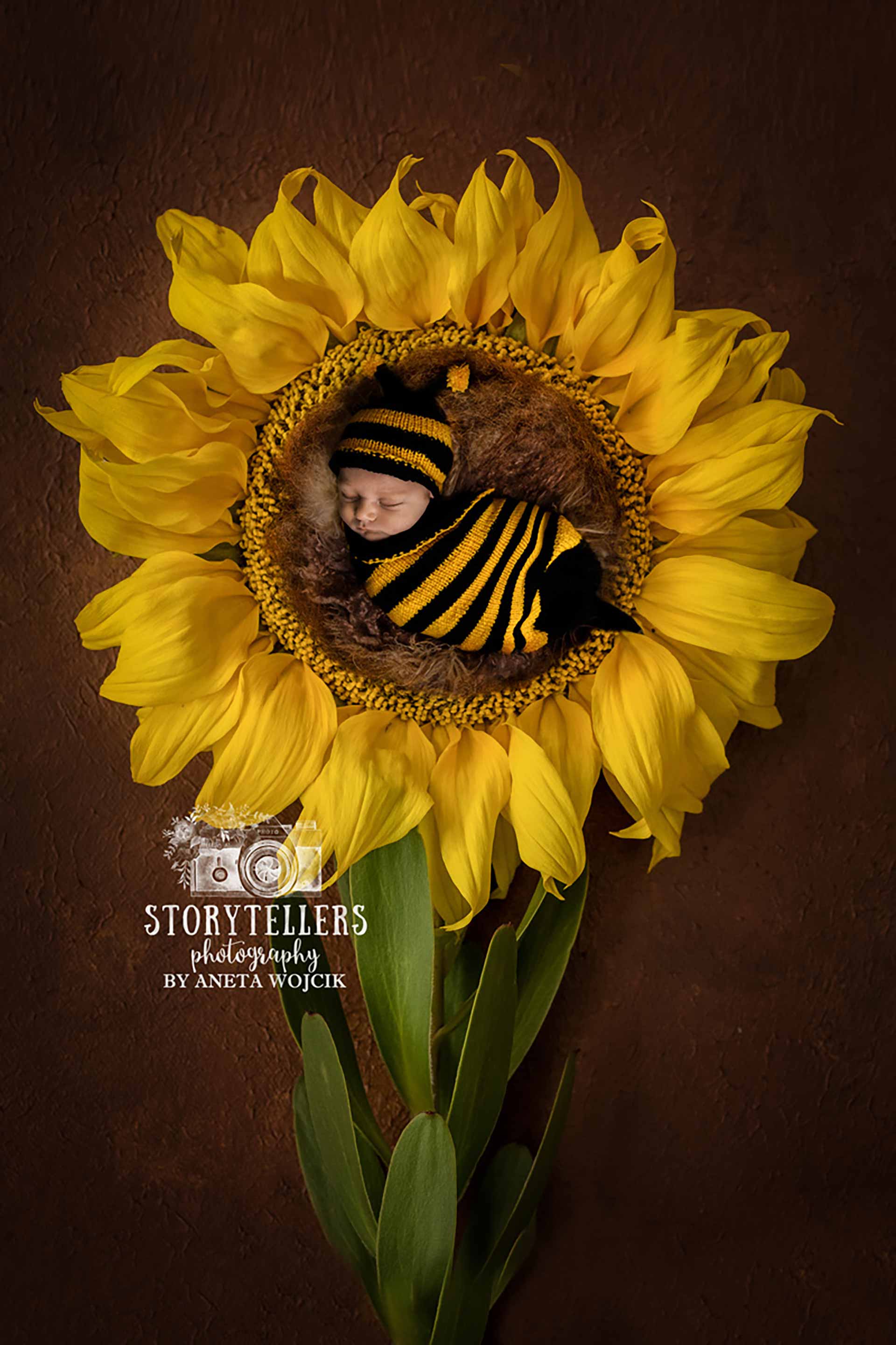 aneta-wojcik-photography-newborn-0029