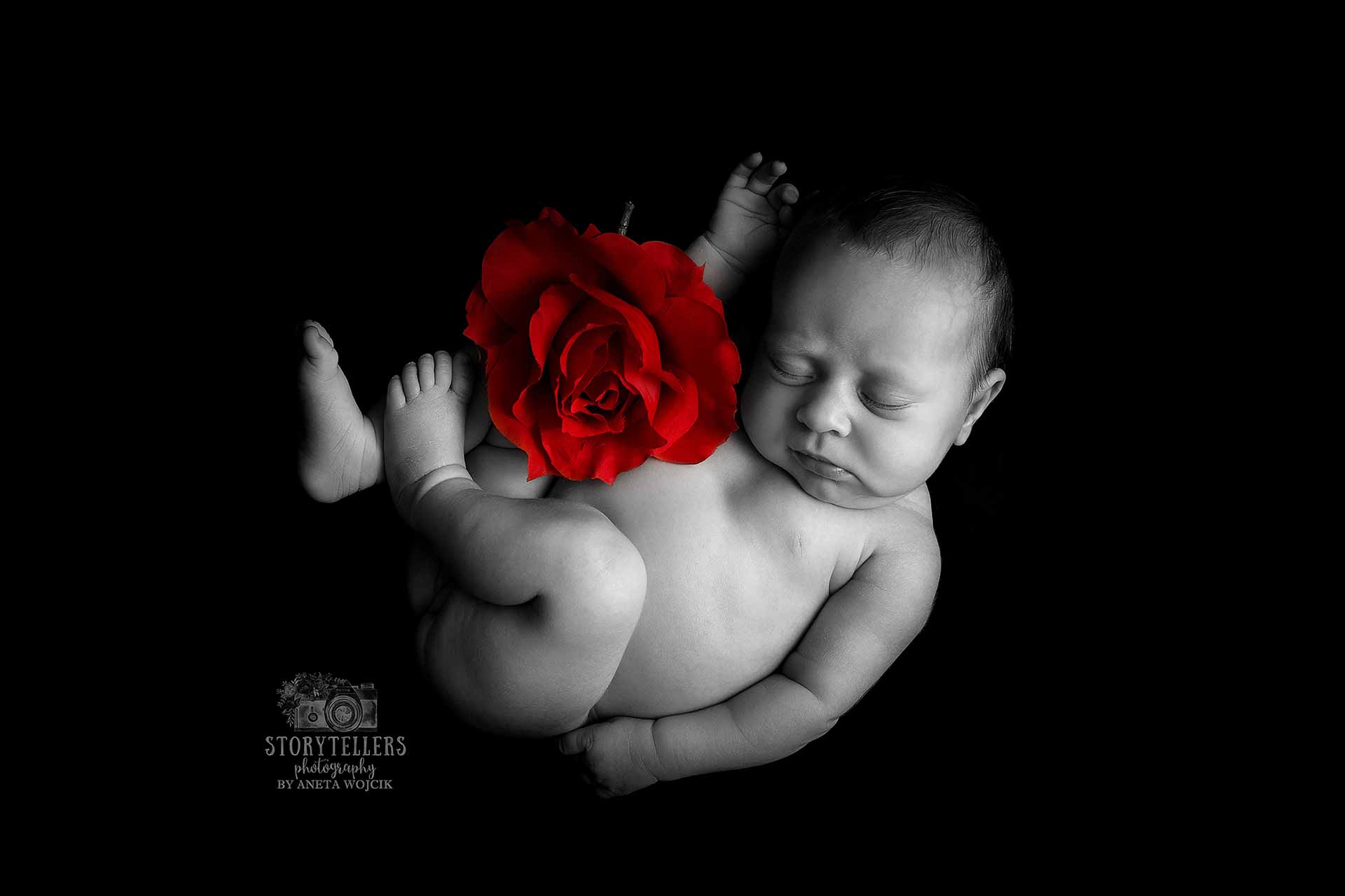 aneta-wojcik-photography-newborn-0069