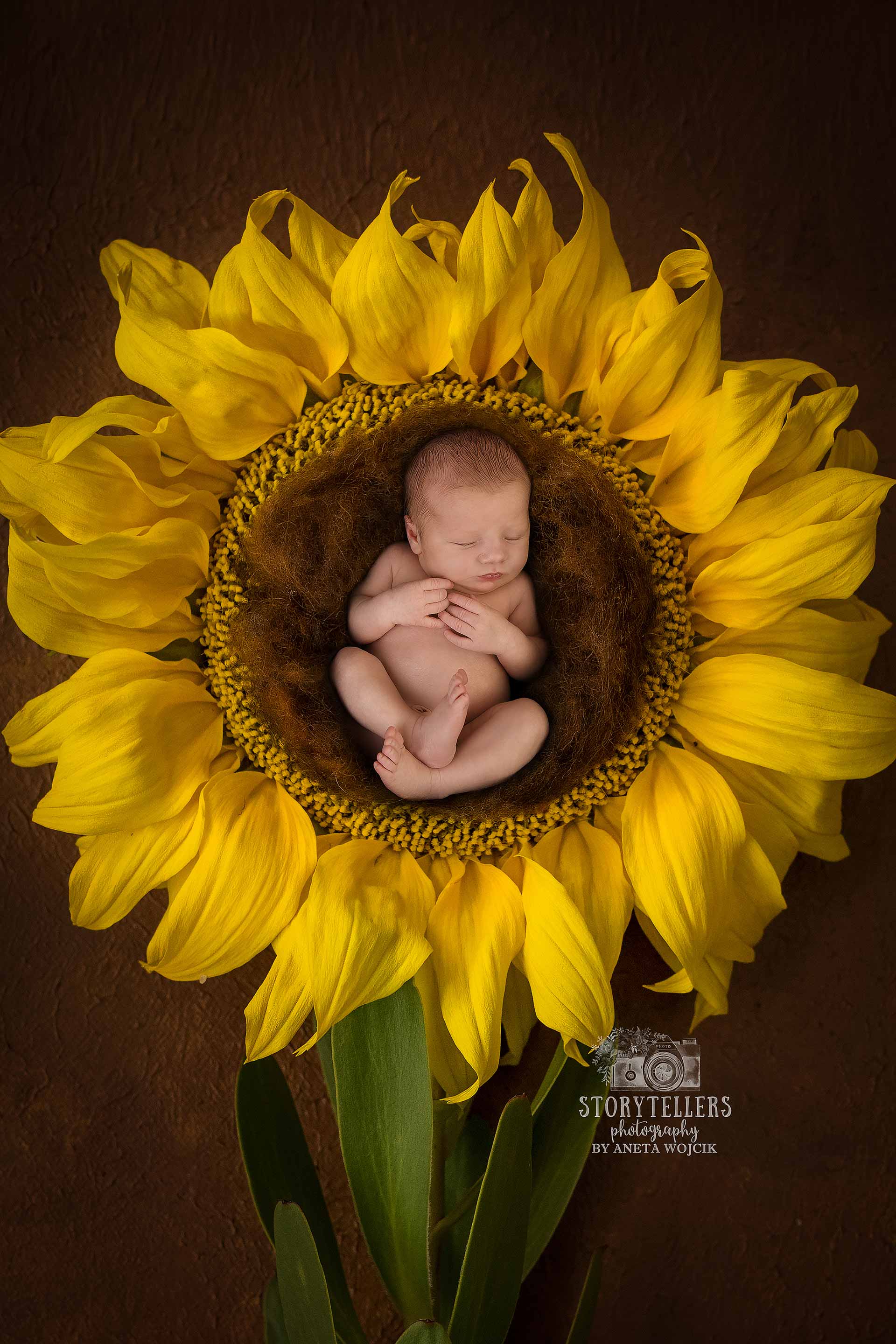 aneta-wojcik-photography-newborn-0073