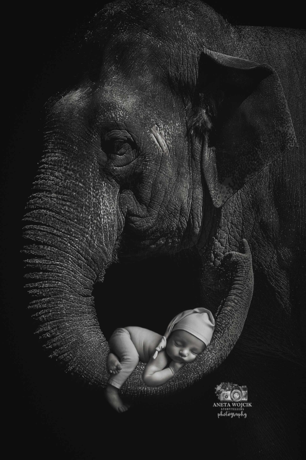 aneta-wojcik-photography-newborn-0254