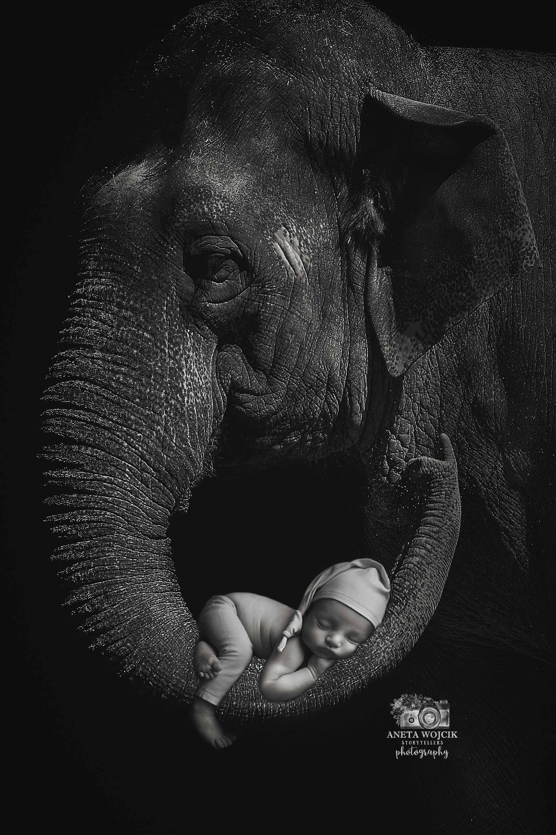 aneta-wojcik-photography-newborn-0254